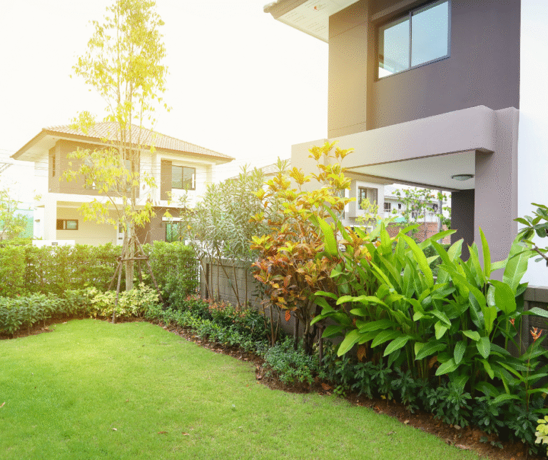 شركة لاندسكيب في الشارقة